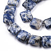 Natural Blue Spot Jasper Beads Strands G-N326-140G-3