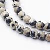 Natural Dalmatian Jasper Beads Strands GSR4mmC004-2