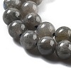 Natural Labradorite Beads Strands LS-G-S333-6mm-035-01-3