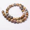 Natural Crazy Lace Agate Beads Strands G-D840-70-8mm-2