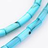 Natural Shell Bead Strands BSHE-P016-06-3