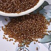 MIYUKI Delica Beads SEED-X0054-DB1735-1