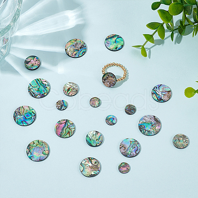 WADORN 20Pcs 4 Styles Natural Abalone Shell/Paua Shell Cabochons SHEL-WR0001-07-1