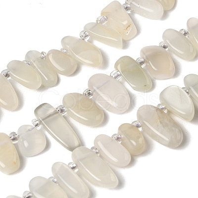 Natural Moonstone Beads Strands G-P604-A27-01-1