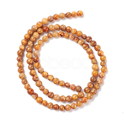 Natural Maifanite/Maifan Stone Beads Strands G-P451-01C-C-1