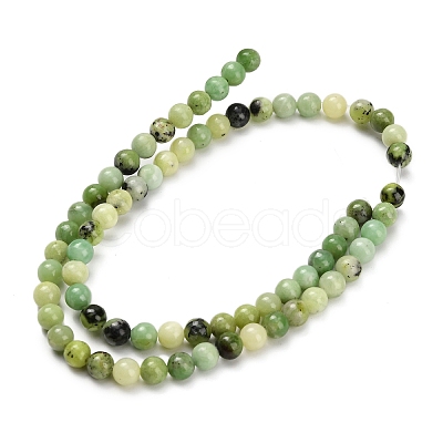 Natural Serpentine Beads Strands G-Z110-C04-6mm-1