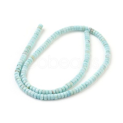 Natural Magnesite Beads Strands G-P398-F-1