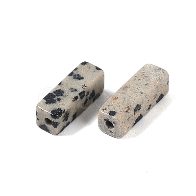 Natural Dalmatian Jasper Beads LS-G-G137-01N-1