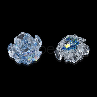 Transparent Resin Cabochons CRES-N030-014-1