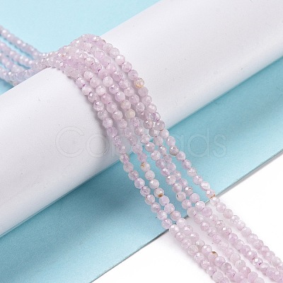 Natural Kunzite Beads Strands X-G-C009-A09-1