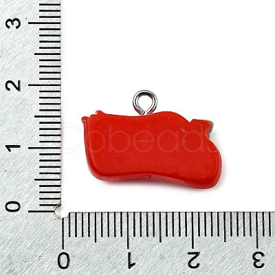 Christmas Opaque Resin Pendants LS-CRES-D314-02P-04-1