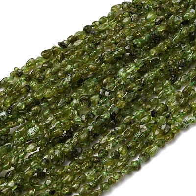 Natural Peridot Beads Strands G-I389-A27-1