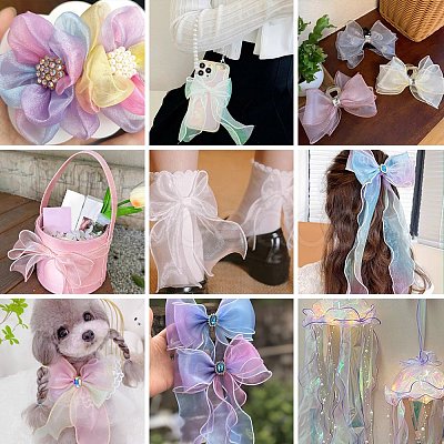 Polyester Organza Ribbon SRIB-FZC0001-001E-1