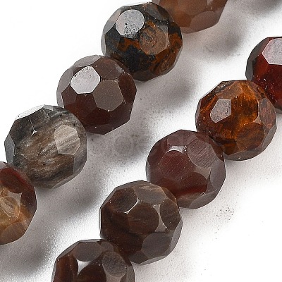 Natural Petrified Wood Beads Strands G-C150-B01-01-1