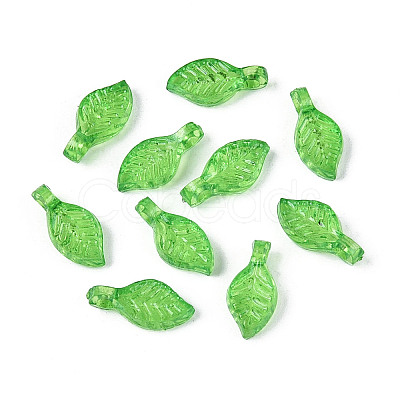 Transparent Plastic Charms KY-N025-09-1