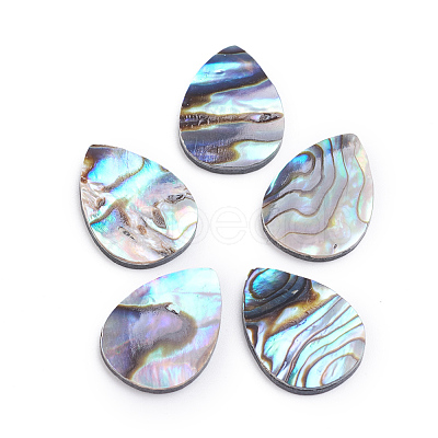 Natural Abalone Shell/Paua Shell Cabochons X-SSHEL-L017-002-1