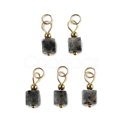 Natural Labradorite Pendants STAS-Z129-01G-03-1