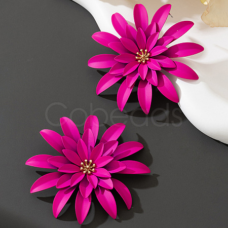 Alloy Stud Earrings FS-WG4B90D-03-1