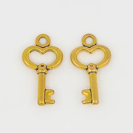Gifts Ideas for Her Tibetan Style Alloy Charms GLF11975Y-1