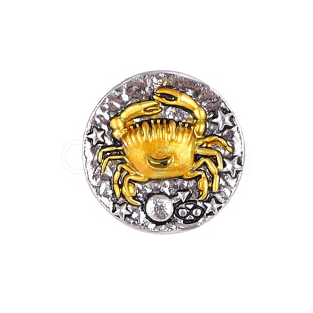 Constellation Alloy Pins PW-WG22693-04-1