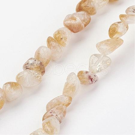 Natural Citrine Bead Strands G-G950-S-07-1