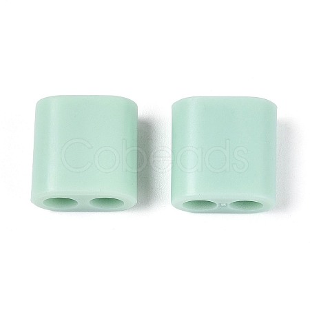 ABS Plastic Beads OACR-N156-07G-1