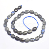 Natural Labradorite Beads Strands G-K223-62B-2