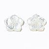 Natural White Shell Mother of Pearl Shell Beads SSHEL-T014-42D-4