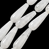 Natural Quartz Crystal Beads Strands G-P528-H17-01-1