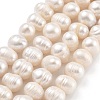 Natural Cultured Freshwater Pearl Beads Strands PEAR-C003-15C-2