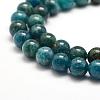 Natural Apatite Beads Strands G-F475-06-8mm-3