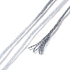 10 Skeins 6-Ply Polyester Embroidery Floss OCOR-K006-A62-3