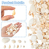 Natural Shell Beads SHEL-SP0001-03-5
