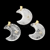 Natural Quartz Crystal Pendants X-G-A297-02G-12-1