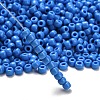 TOHO 6/0 Round Beads X-SEED-TR06-0043D-2