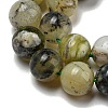 Natural Green Opal Beads Strands G-R494-A11-03-3