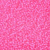 11/0 FGB Grade A Round Glass Seed Beads SEED-N001-D-206-2