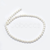 Natural Cultured Freshwater Pearl Beads Strands PEAR-K003-23D-01-2