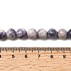 Natural Purple Stripe Jasper Beads Strands G-K350-C03-8mm-5