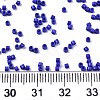 FGB 11/0 Grade A Glass Seed Beads SEED-S030-1024-4