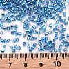 Glass Bugle Beads SEED-S032-09A-633-4