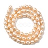 Natural Cultured Freshwater Pearl Beads Strands PEAR-I007-01P-02-3