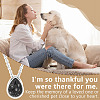 Natural Snowflake Obsidian Teardrop Urn Ashes Pendant 304 Stainless Steel Cable Chain Necklaces NJEW-OC0001-09A-5