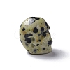 Natural Dalmatian Jasper Beads G-I352-02-4