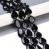 Natural Black Gemstone Beads Strands G-Q164-C01-01-2