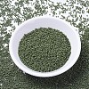 MIYUKI Delica Beads SEED-MY11-DB1135-2