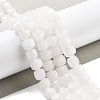 Natural White Jade Beads Strands G-C179-B23-01-2