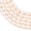 Natural Cultured Freshwater Pearl Beads Strands PEAR-D003-01D-06-4
