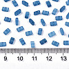 FGB 2-Hole Baking Paint Glass Seed Beads SEED-S031-M-SH1205FR-2