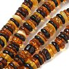 Natural Amber Beads Strands G-K387-C01-02-2